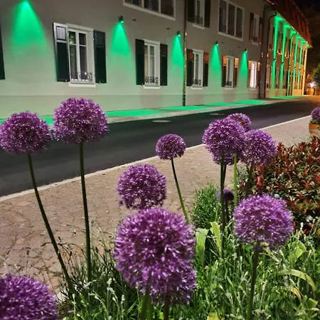 Stadthotel Haslach האסלאך אים קינזיגטאל