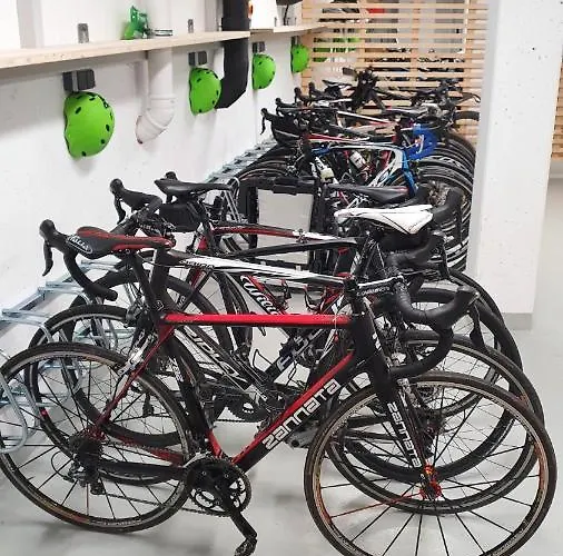 Hotel Stadthotel Haslach